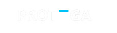 Protega.ai